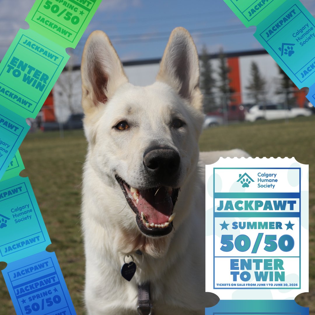CalgaryHumane's tweet photo. Summer JackPAWT is here! 😎🌞

One lucky winner takes home half the JackPAWT and every ticket helps give vulnerable animals at the Calgary Humane the care and second chances they deserve.

Get your tickets today!🎟️
https://t.co/aVz8MsLSYn

#YYC #5050 *Only sold in Alberta https://t.co/0QRHV5FzWq
