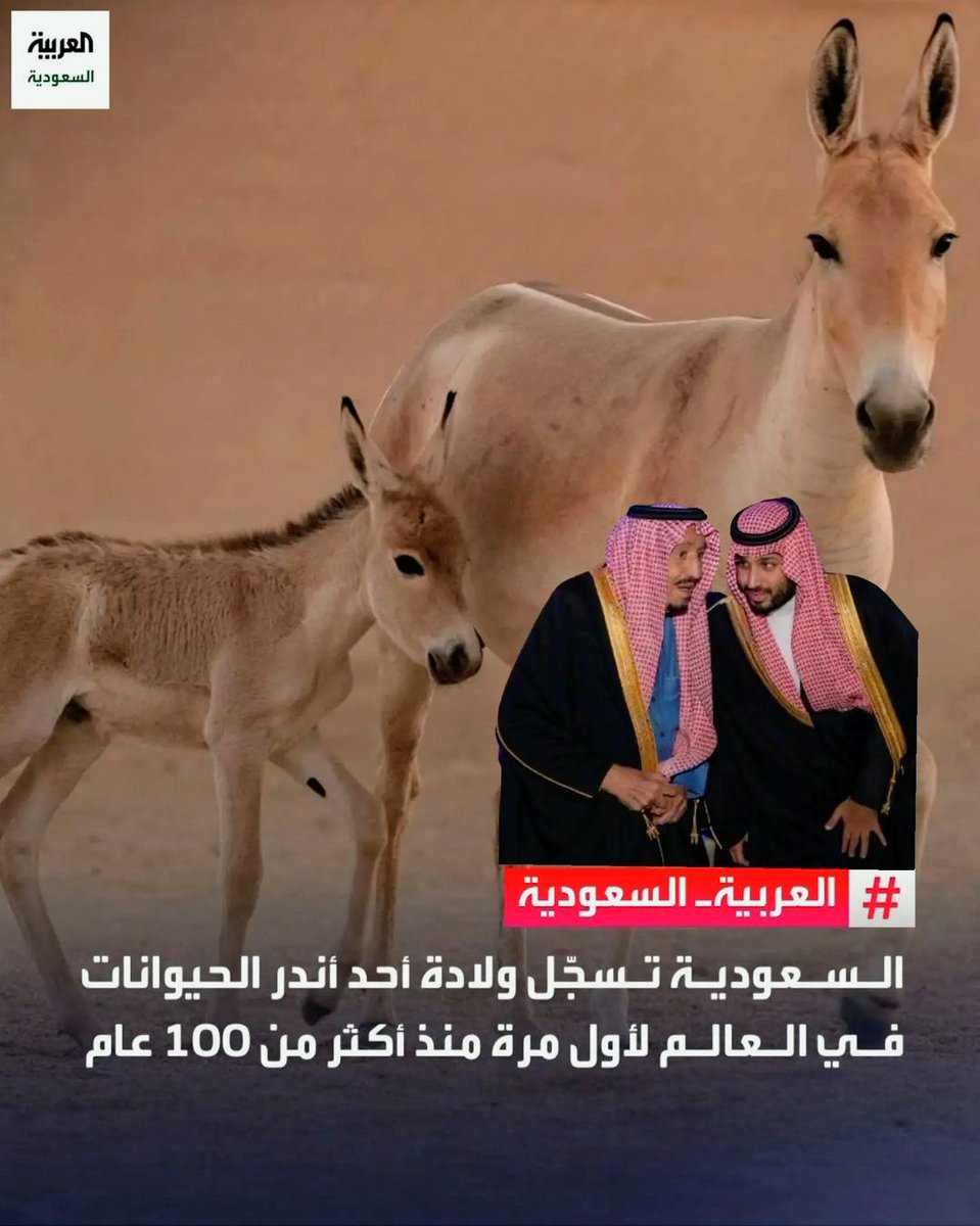 zucfok's tweet photo. @Malclom20 سبحان من خلق وأبدع فى خلقه
لا فرق بينهم فكليهما حمير 
لن تنصاع الا بالضرب 🦯 https://t.co/YPPuahm2XA
