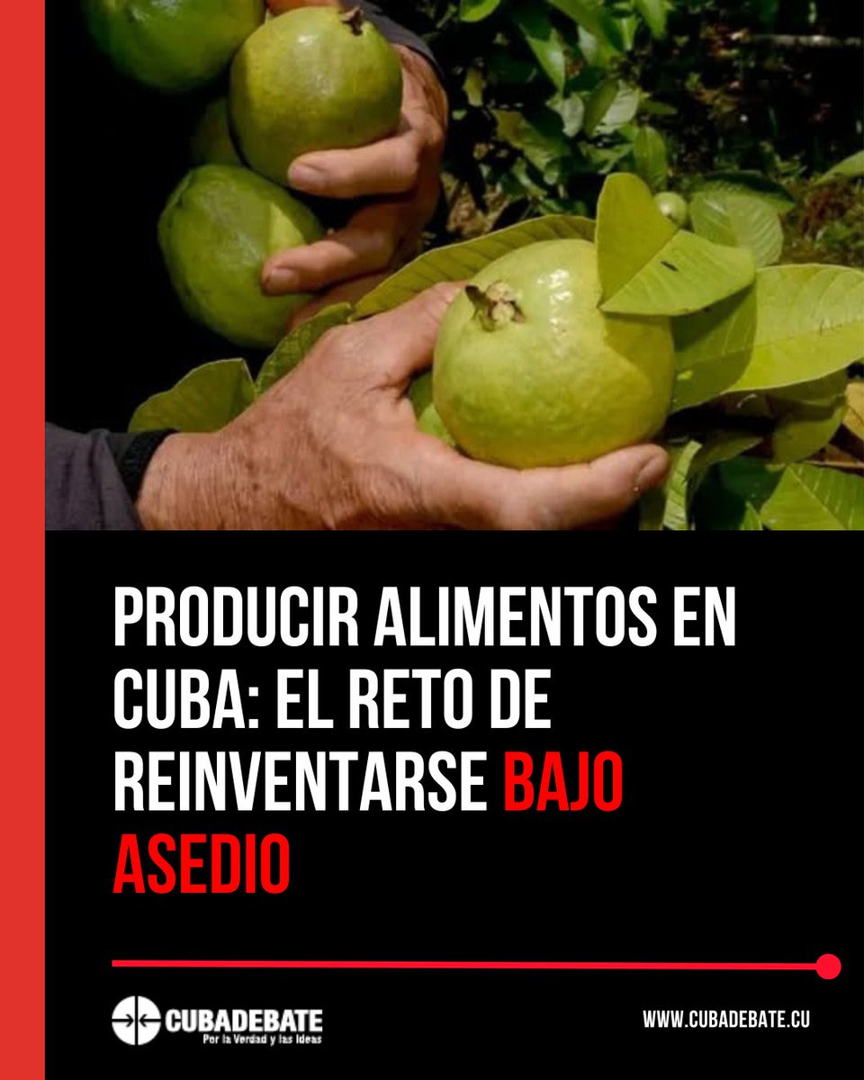 Cubadebate tweet media