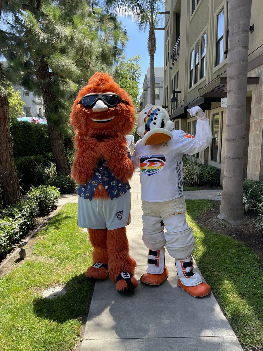 kreidiculous's tweet photo. gay wild wing i miss u https://t.co/qVQhRKPI0z
