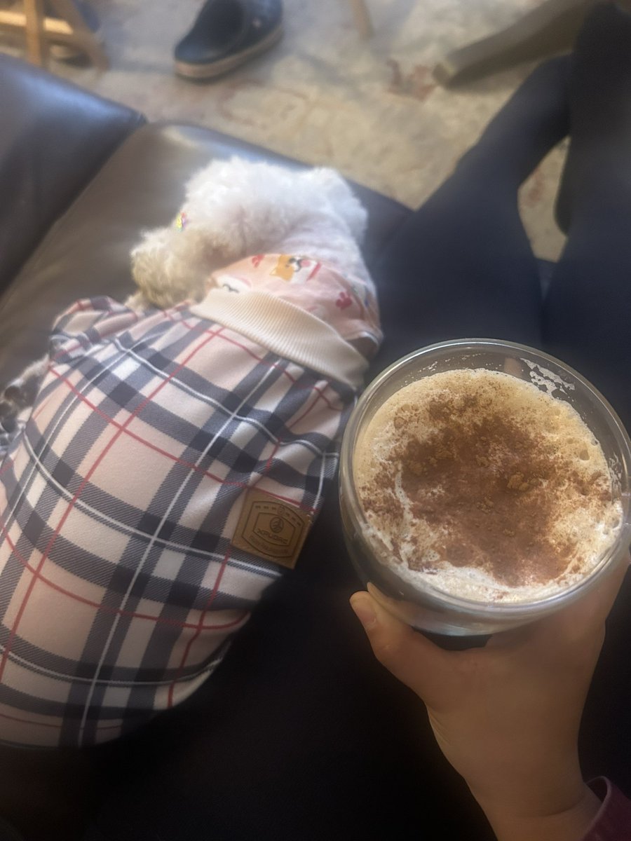 mekladon's tweet photo. visiting friends, IT post-grad/lab tech celebration, and GF + DF banana bread limit testing

gonna hangout w/ a DDR community tonight ^^ a mix of nervousness and excitement 😗👍 https://t.co/uE7aCxuZnn