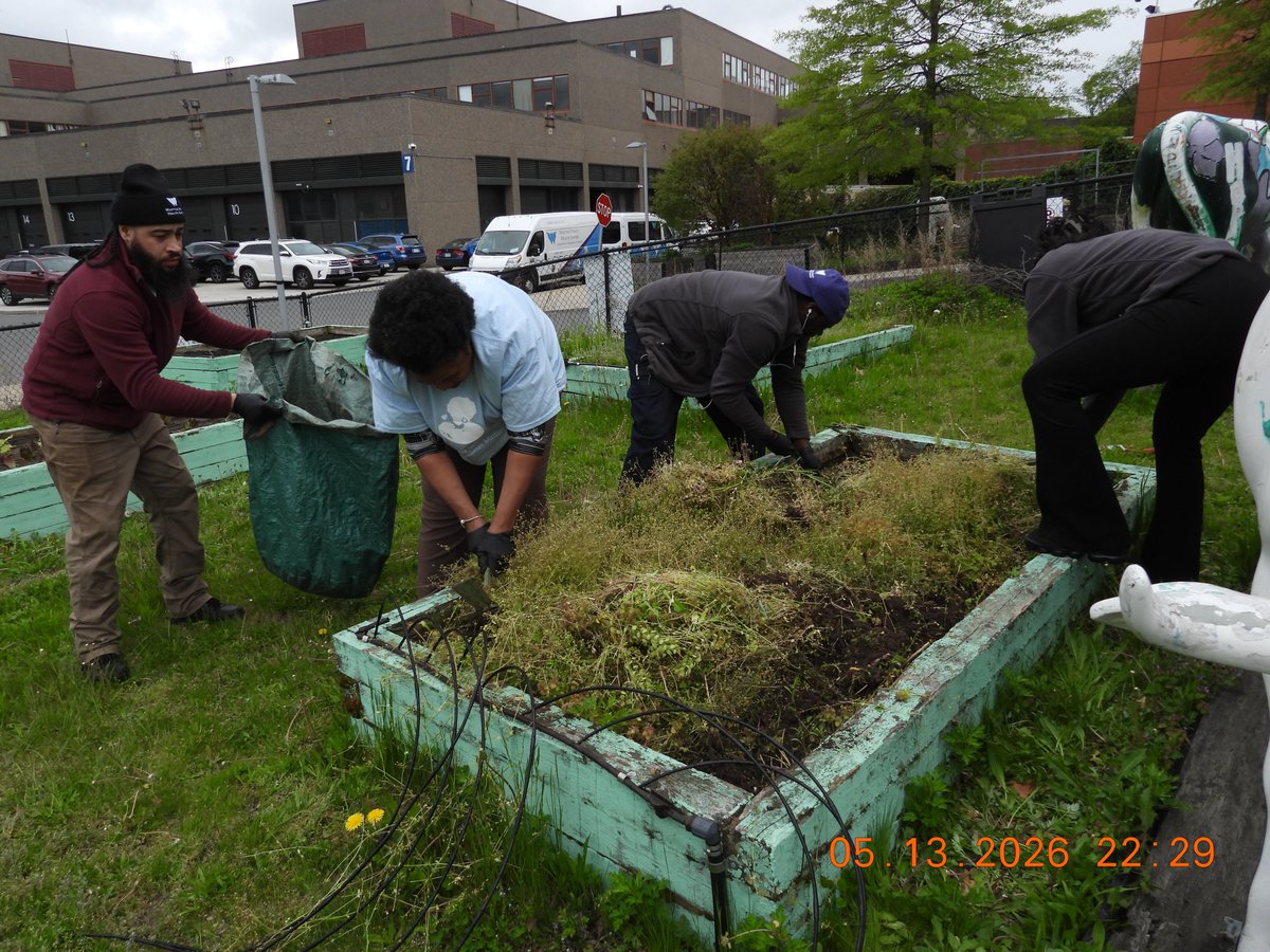 Whittier_Boston's tweet photo. On May 14, 2026, WSHC proudly celebrated the opening of our Community Garden—a space rooted in wellness, nourishment, and connection. Patients, families, and community members came together to plant, learn, and share in the joy of cultivating healthy futures. https://t.co/PCkRD8ObCY