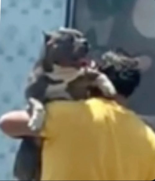 Puppies ๐ถ tweet media