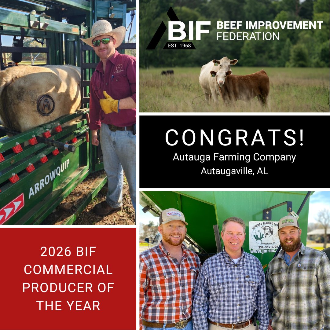 BeefImproveFed's tweet photo. Award announcement! #BIF2026
Congratulations goes out to Autauga Farming Company, Autaugaville, AL, the 2026 BIF Commercial Producer of the Year! Thanks to Drovers for the award sponsorship. https://t.co/Fd9Jela8CK