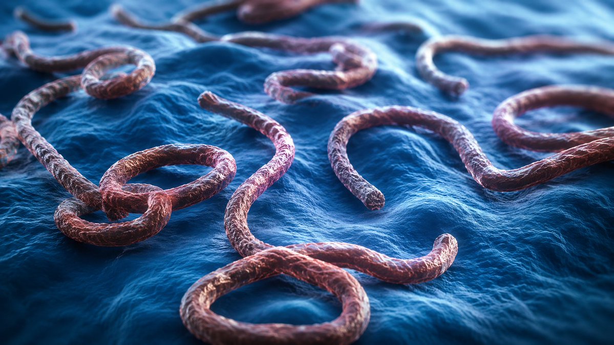 MSUnews's tweet photo. .@MSUMD's Subhashis Mitra, an infectious disease physician at MSU Health Care, explains the current Ebola outbreak in the Democratic Republic of the Congo and Uganda -- and if this strain of the virus likely to impact people in the U.S. https://t.co/RMZUJYl6Zw
