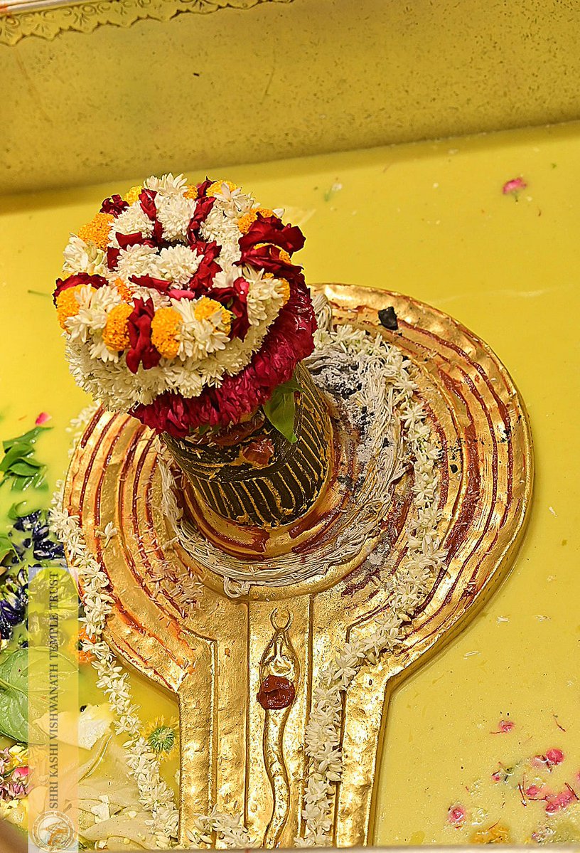 ShriVishwanath's tweet photo. श्री काशी विश्वनाथ जी की सप्तऋषि आरती I
#kashivishwanath #kashi #hindu #sanatandharm https://t.co/P4cTU7qMT7