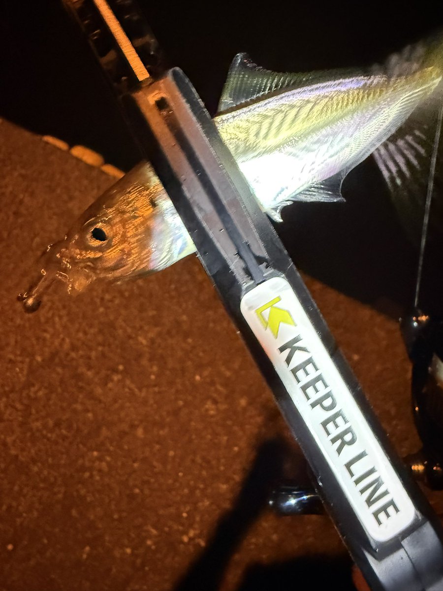kirei_na_jaian's tweet photo. 台風来る前に調査🐟

LEVEL6
MAMEAJI HEAD➡︎#14 0.4g

KEEPERLIN
ちびくにゃーん➡︎萌ピンク

@LEVEL6_toujima 
@keeper_line https://t.co/5hSRmUjeQj