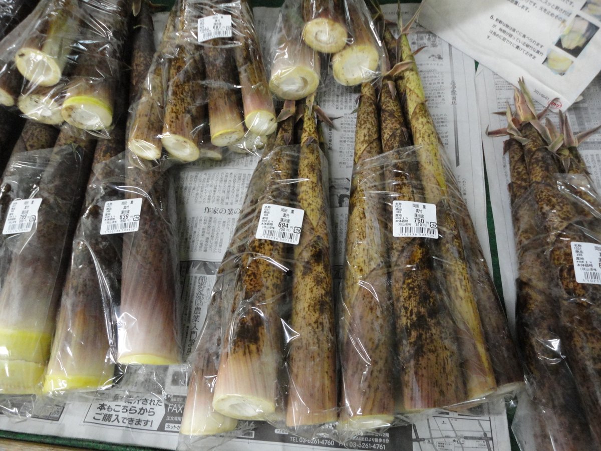 店内棚には、【真竹】が出荷されております。別名【苦竹】とも呼ばれて