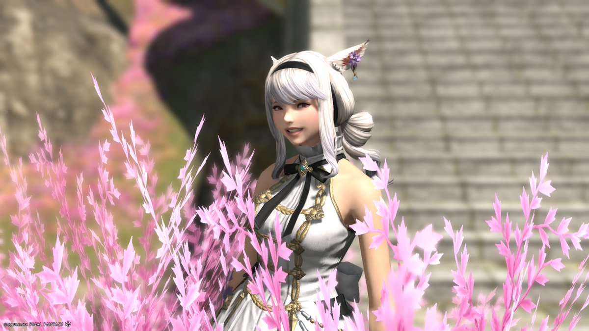 ･*:.｡❁ 雨音 ❁.*･ﾟ·。 tweet media