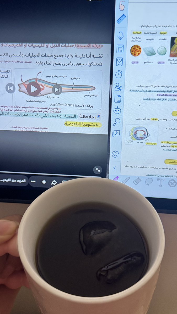 الملكة👑 tweet media