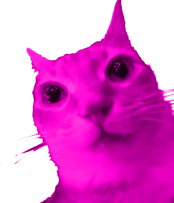 TheCatToasty's tweet photo. @JunkOPossum GAY!!! https://t.co/yGOrWjuFl1