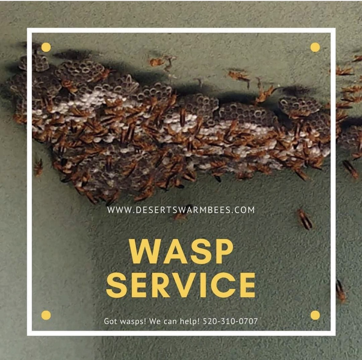 BeeDesert's tweet photo. Wasps are getting busy!
Our service includes a full clearance of your home's exterior and removal of all nests. We know where they like to hide!
#desertswarm #beeremoval #beecontrol #waspcontrol #waspremoval #tucsonlocal #tucsonfamilybusiness https://t.co/ziRWNK21Ko