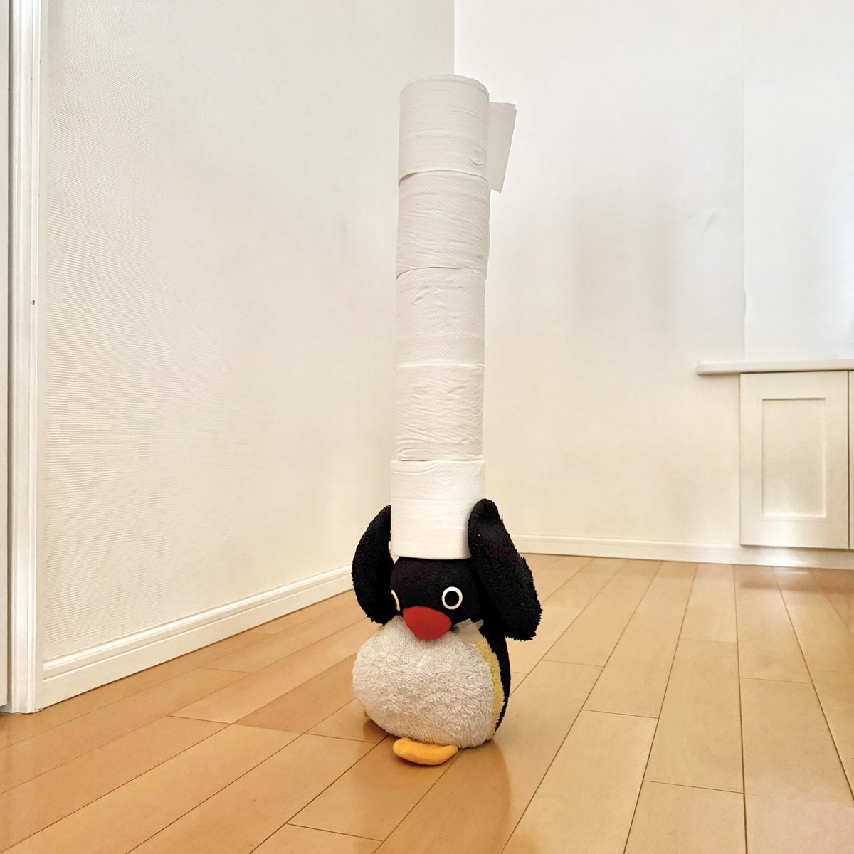 pingmyping's tweet photo. 🐧🧻🧻🧻🧻🧻 https://t.co/2ozE1hrBeb