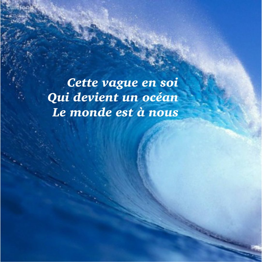 JacquesMercier's tweet photo. Un mardi joyeux ! 
[#haiku, #amour, #ligue_des_optimistes, #poésie] https://t.co/kCfRFa0IVB