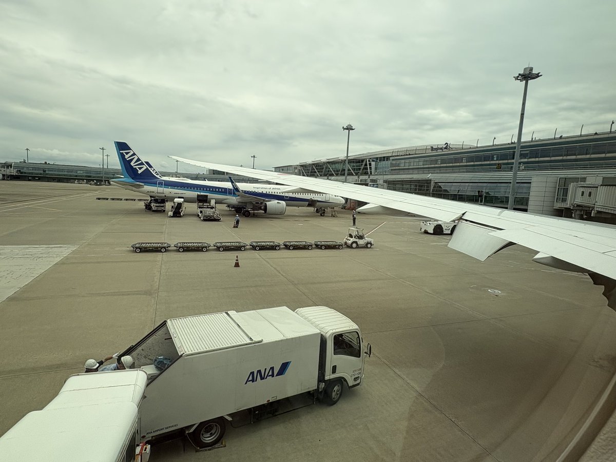 Miaoi_Neko's tweet photo. 北海道旅から帰ります(  ˶'꒳'˵ )

しばらく旅の予定はございません(๑•̀ㅂ•́)و✧ https://t.co/Rbh8ohWilG