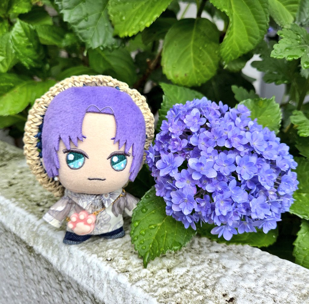 neomahoyakunui's tweet photo. 「おれ色の紫陽花！」
「雨の雫も気に入っているよ！」
#まほやく_ぬい https://t.co/Q0ul96bkFh