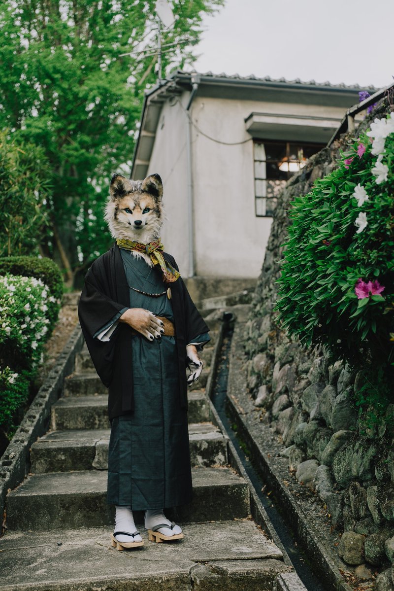 Amber_ovopack's tweet photo. 久々に和服を着た👘

📸 @mofzof 
#Kemotopia https://t.co/uAV8Oz4srr
