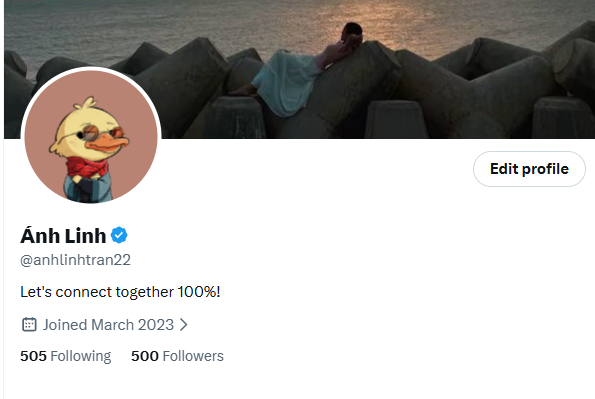 Ánh Linh tweet media