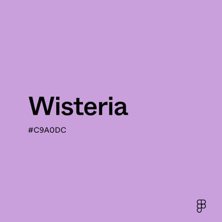 TOEPEGMAFIA🤮 tweet media