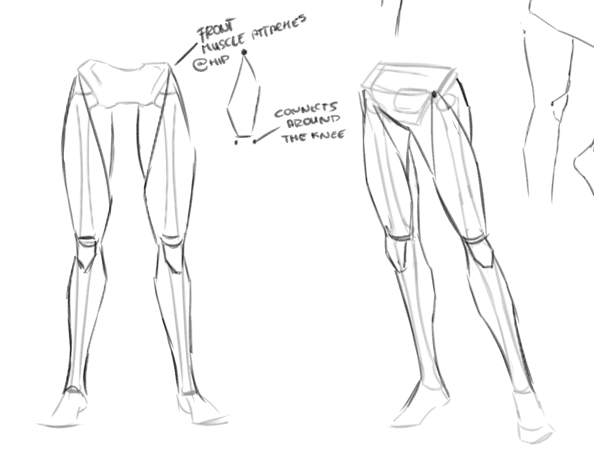 ashe0000000's tweet photo. Also some quick leg studies

#art #artstudy #sketches #anatomy #drawing https://t.co/MpTguht7tZ