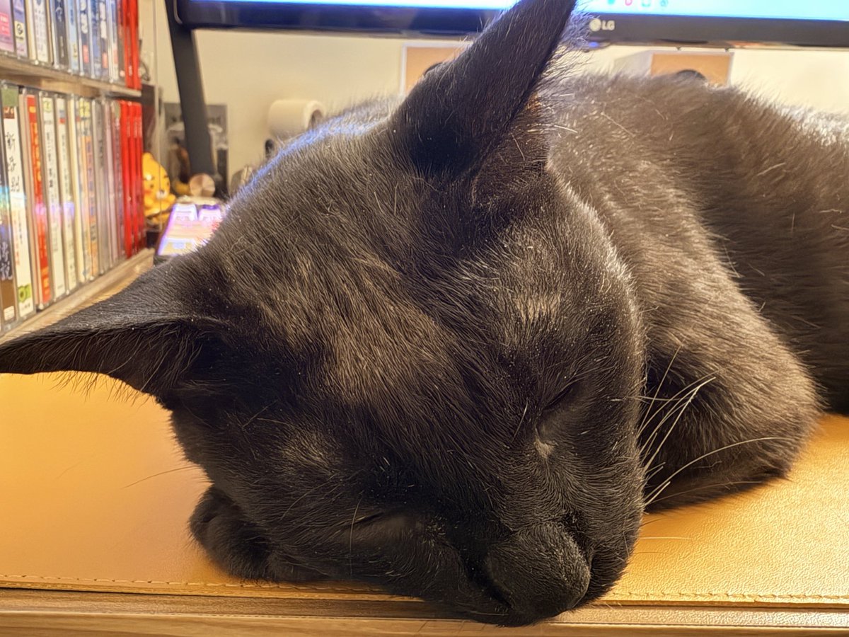 Hanabo_blackcat's tweet photo. https://t.co/79FVg6lpzu