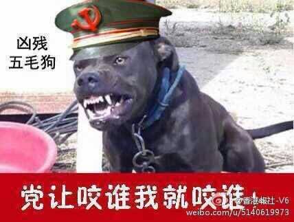 ckLeeThomas1's tweet photo. @pumuhuil9fu @wangdan1989 https://t.co/qs27QWDfBy