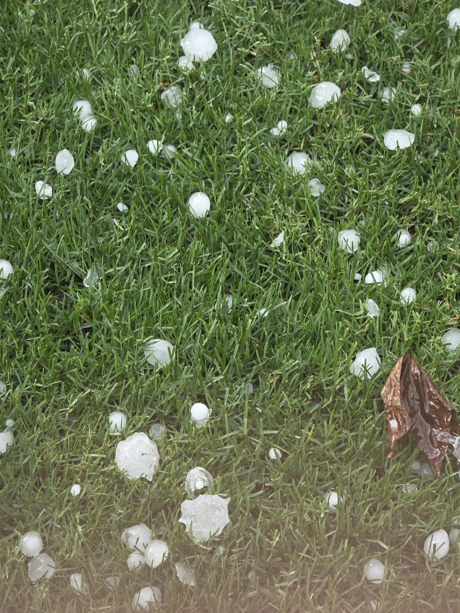 CHbaseballfan's tweet photo. @memphisweather1 Bigger than marble now   not quite golf ball https://t.co/H37dq4z67T