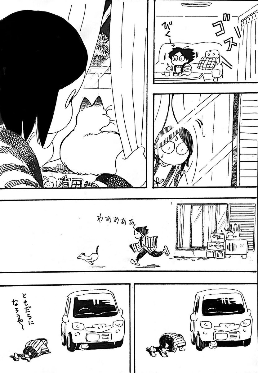 テリトリー 