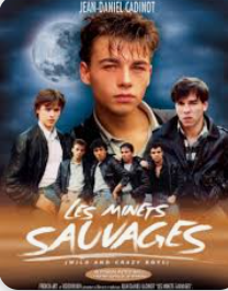 vitrolles13127's tweet photo. les minets sauvages by #cadinot + 18 #LGBT18  fameuse scène du viol collectif 
Sous un ciel gris se dresse une maison de correction pour jeunes délinquants. Dans ce monde clos, huit jeunes sauvages au passé problématique se lèlent, s'affrontent et se provoquent. Huit jeunes fauves aux besoins sexuels violents ont établi leur propre loi. Le chef de clan revient sans pitié pour le nouveau venu et le soumet à sa loi. Le dortoir, la chaufferie et l'atelier sont les théâtres des châtiments infligés à cette proie facile. Jalousies, tensions et désirs explosent à l'arrivée d'un jeune loup solitaire. Avec un complice, il prend le jeune victime sous sa protection et met un terme à la terreur. Mais le surveillant chef, quel est son rôle dans ce drame ? Avec Minets Sauvages, Cadinot réussit une étude difficile de la morale et hisse la bannière de son oeuvre au dessus de toutes.