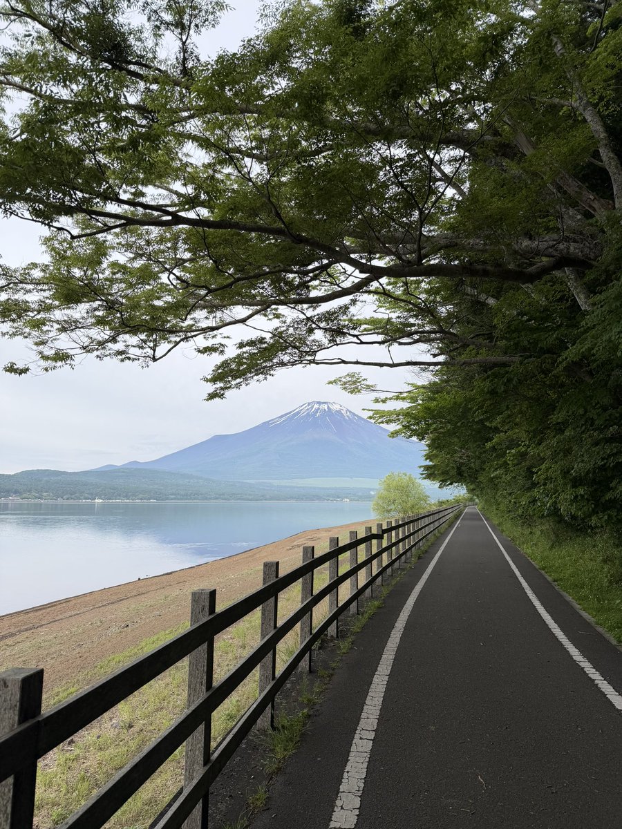 WanFunOhana's tweet photo. Aloha🌴
RVパーク WANALOHA Fujiやまなかこオーナーです。
山中湖ロードレースから中1日たちましたがしっかり筋肉痛が続いています。
それでもサイクリングで山中湖一周してきました。サイクリングコースは概ね平坦。景色も楽しめますよー。 https://t.co/QGySFAJxo9
