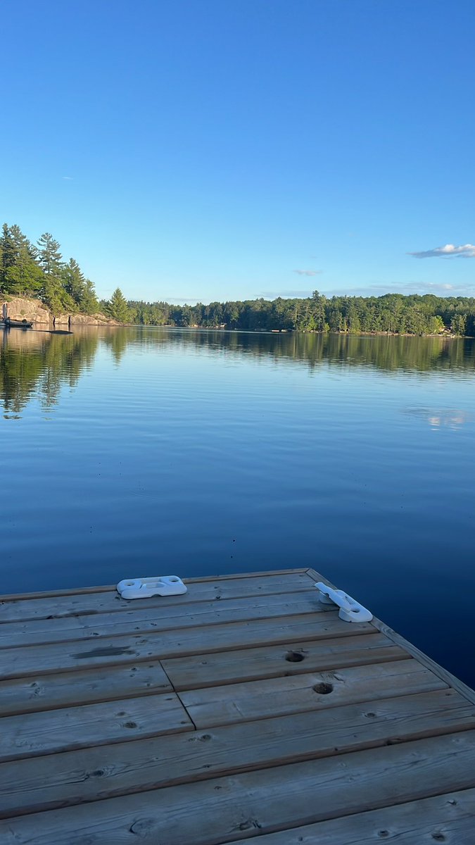 SWSMuskoka's tweet photo. Beautiful evening in Muskoka https://t.co/n7MskoQwcG