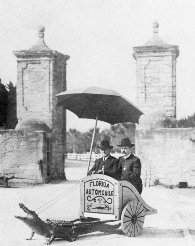 BeachFrmFL's tweet photo. Governor William S. Jennings (right) in an alligator cart by the St. Augustine City Gates,  St. Augustine, #Florida - 1901 https://t.co/zMAfXBtL8a