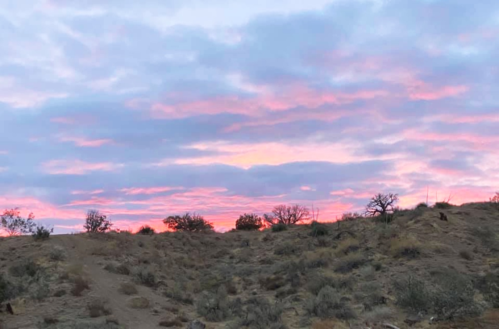 Housesitter's tweet photo. New Horse Caretaker Opportunity - near Antelope Valley, California

Full details and owner contact information were provided to paid subscribers of The Caretaker Gazette in our latest email update.   

Subscribe at: https://t.co/QwxJieSexF https://t.co/Zn2CbRXfcK