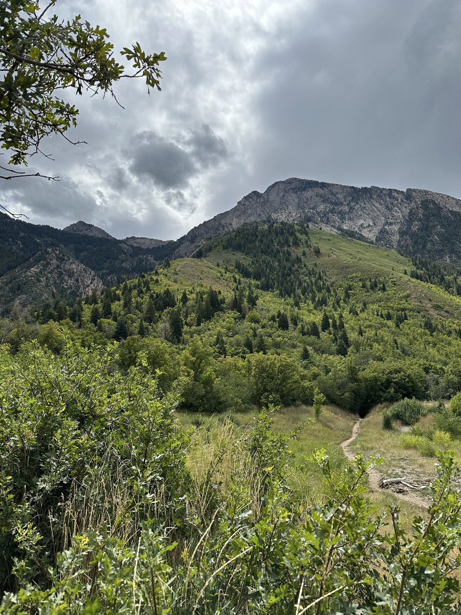 ChristianGochn1's tweet photo. @jeremyjudkins_ Ya, Utah sucks. https://t.co/BnhR4FInTj