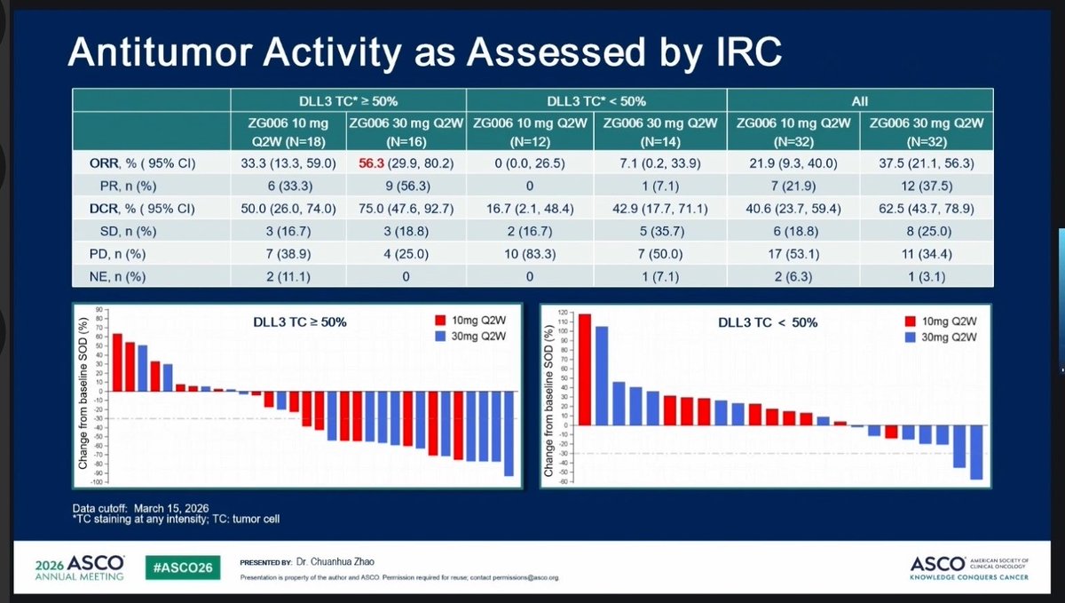DrAngelaLamarca's tweet photo. ZG006- Phase II trial with trispecific T Cell Engager DLL3/DLL3/CD3 in NEC at @ASCO #ASCO26

ORR if DLL3 high at 30 mg 56%, DOR 11.7 months 

🙌🏻Consistent - DLL3 works in NEC https://t.co/wrnpAketx3