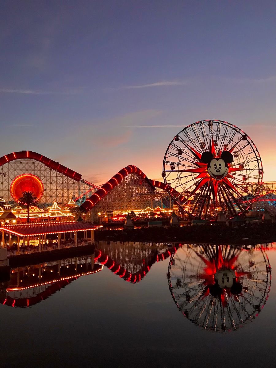 travelgirl_love's tweet photo. 【予算15〜30万円】（3泊4日）

🇺🇸カリフォルニアディズニー・アメリカ

ディズニーランドとアドベンチャーパーク、
2つのパークを楽しめる夢のような場所🏰✨
カーズとか、日本にはないアトラクションや限定グッズも多い😻

パーク周辺ホテルも充実してて、3泊4日でもしっかり満喫できる🎢🤍 https://t.co/VdBxDntnxO