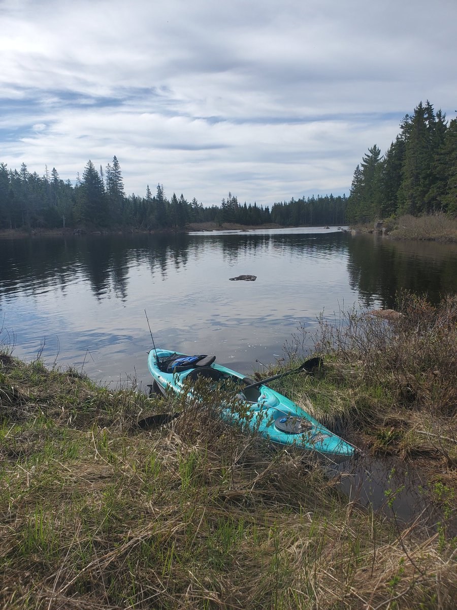 CryptoMarcobro's tweet photo. Touching grass and water 
💧 🛶🐟🌦💈💈🌦🐟🛶💧 https://t.co/QyRDguCPim