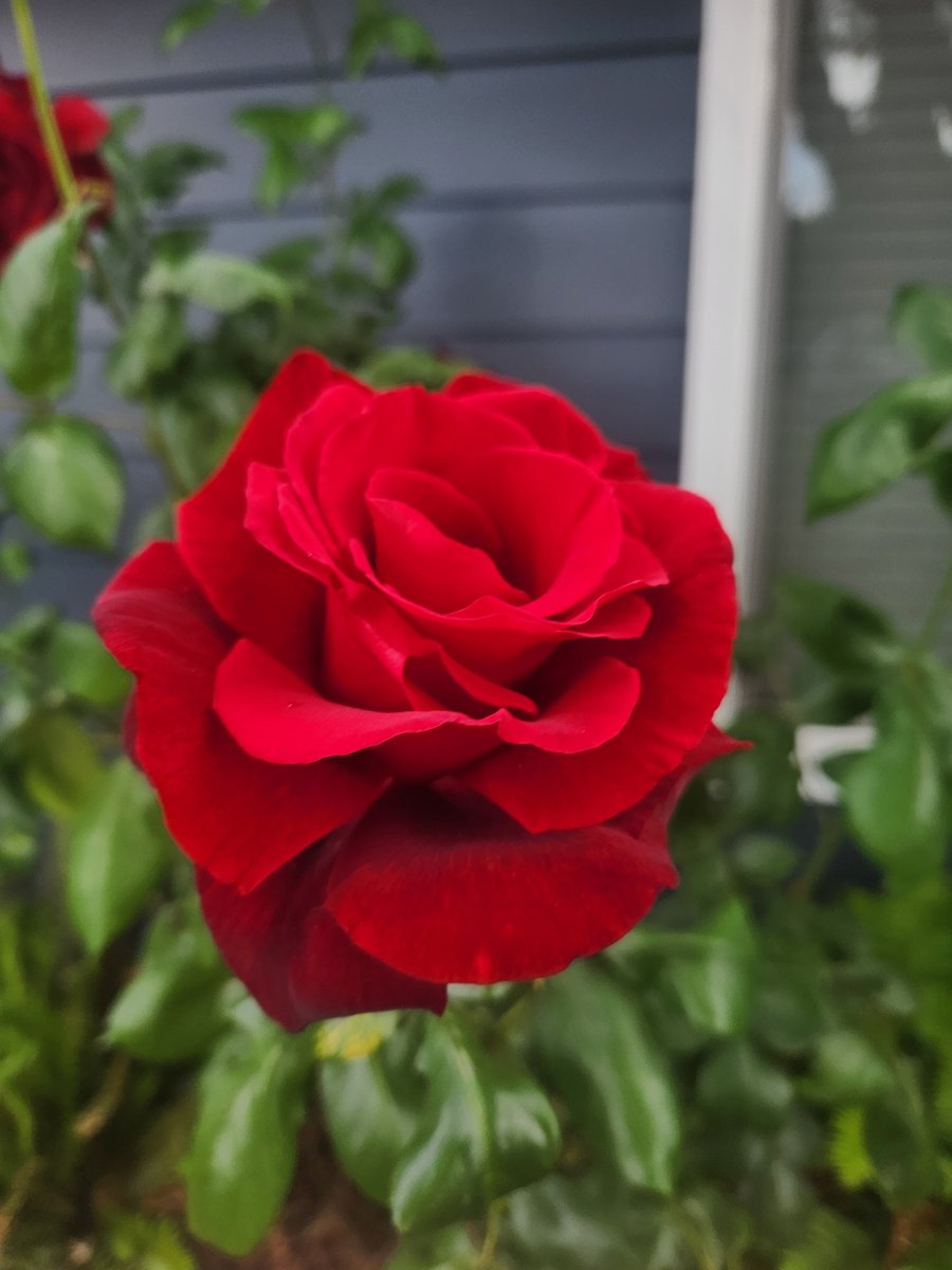 MikeJPapas's tweet photo. Notes and thoughts for the day:
It takes strength and vulnerability to deal with your emotions. Is it worth the effort? Always!
With Peace and Love Always------Papas https://t.co/kvl4OvZhHz