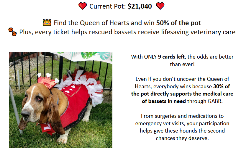 GABR_Bassets's tweet photo. Aarrhhoooo! Get tickets at https://t.co/WnkQd9xP5U
and then watch the drawing LIVE at 7 pm TONIGHT on Facebook to see if you've found the #QueenOfHearts!

#AdoptDontShop #Basset #BassetHound #RESCUE https://t.co/90AkCTLtPF