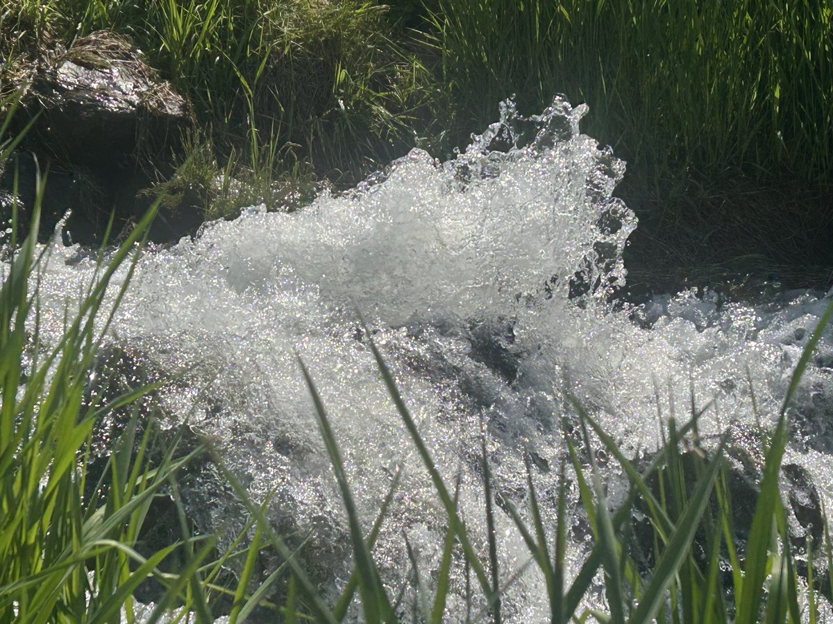 ar494972's tweet photo. こんなに吹いてる💦🐳🤣 https://t.co/zhpvjnoqQa