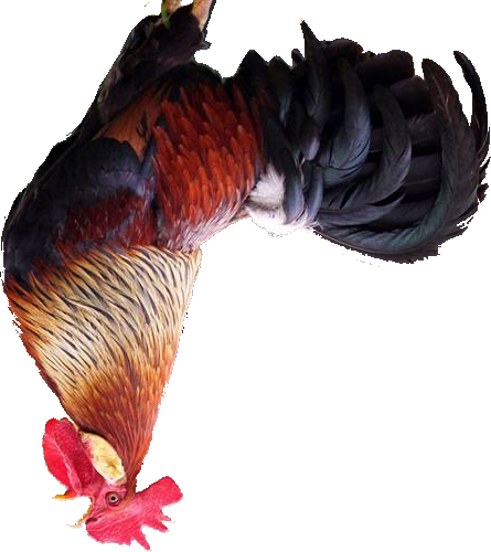 ZoZaVT's tweet photo. ʞɔoɔ https://t.co/RvNFLc6rwG