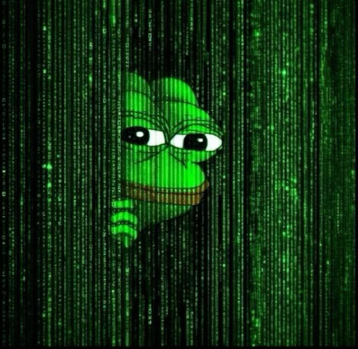 fity.eth tweet media