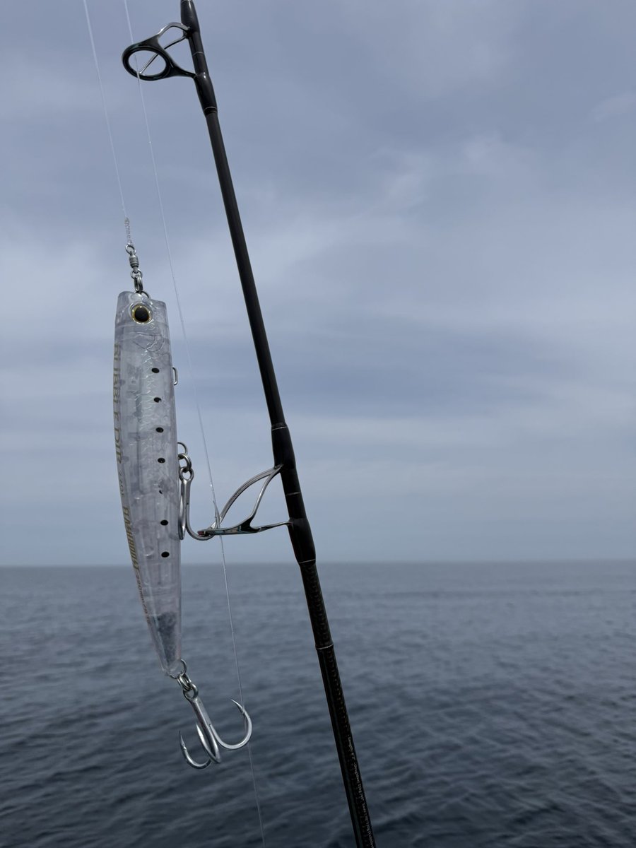 7oru_Blue's tweet photo. 月末周りで飛びまくってたから、持ってきたらビビって飛ばねぇやアノ野郎🐟
で、どうせ帰省掛かったら、また周りで「やーいっ」って煽りに来るんでしょ(つ'ヮ'c) https://t.co/v2pchAPnhh