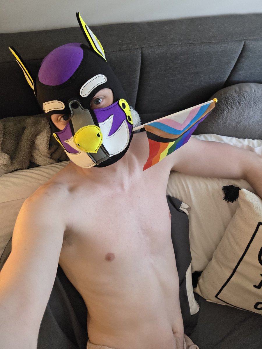PupArthur1's tweet photo. Happy Pride everyone! https://t.co/B3TxMIAH6v