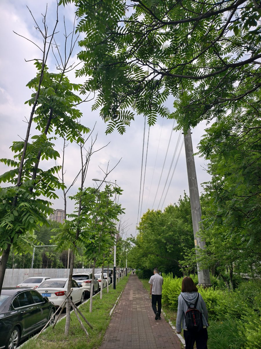 江林 tweet media