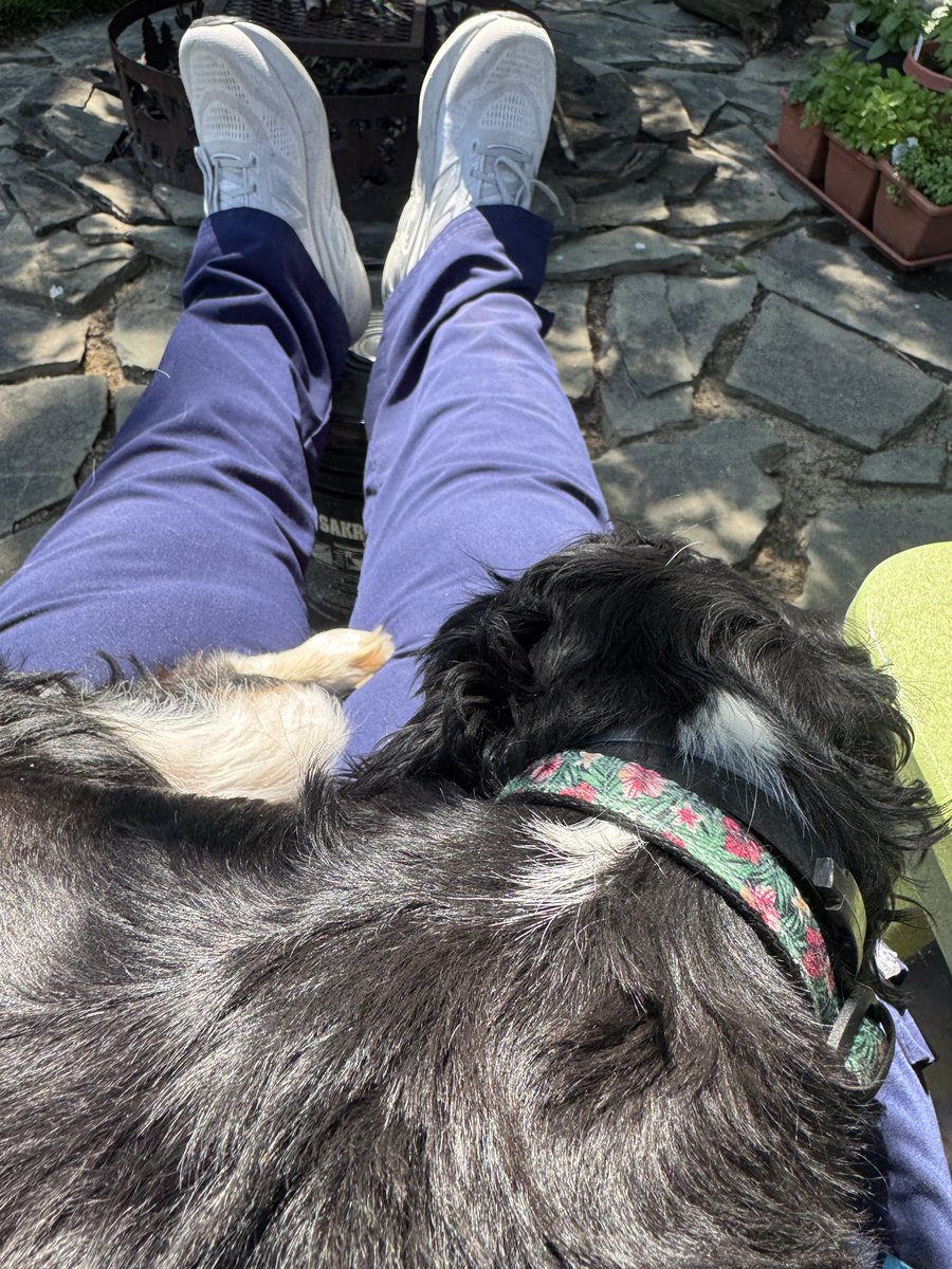 twisteduterus's tweet photo. Wilma  having some holdywhile I was home for a short time between shifts today. https://t.co/jodStVKsPy