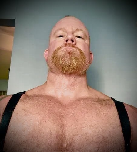StrictFinDom's tweet photo. Submit https://t.co/x3MveeyBUQ