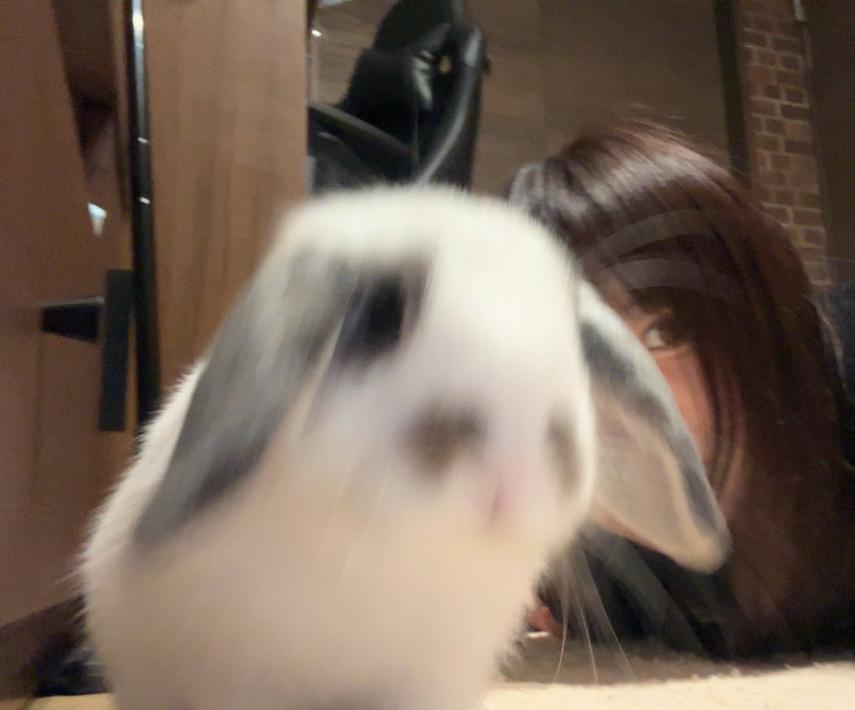 runarion_'s tweet photo. スケジュール確定しました！
6月もよろしくお願いします🙇‍♀️💚 https://t.co/NaPkCDZFnA