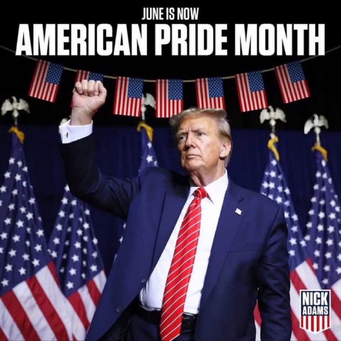 ProudElephant's tweet photo. Happy American Pride Month! 🇺🇸 https://t.co/ekQIL4ZvXS
