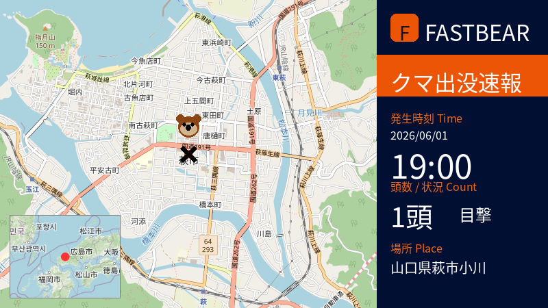 fastbearbot's tweet photo. 【🐻熊出没情報】

先日、山口県萩市小川でクマのような動物1頭が目撃されました。体長約70cm、性別は不明です。

📅 日時: 2026-06-01 19:00頃 (JST)
📍 場所: 山口県萩市小川（道路上）

通行人からの情報提供により、付近住民へ連絡、その後警察へ通報されました。幸い、けが人はいませんでした。

萩警察署では、現在付近のパトロールを強化しています。周辺にお住まいの方、お出かけの方、そして通行される方は、クマとの遭遇に十分ご注意ください。🚨

#クマ #萩市 #山口県 #注意喚起 #野生動物 #クマ出没 #萩市小川 #安全第一

詳細な地図はこちら👇
https://t.co/AFVqPmrUVZ

---
⚠️ URGENT: BEAR SIGHTING 🐻 A small bear, approximately 70cm long, was spotted walking on the road in Ogawa, Hagi City, Yamaguchi Prefecture around 7 PM JST on June 1st, 2026. No injuries reported. Local authorities are increasing patrols and urging caution.
---
⚠️ 紧急警报：熊出没注意！山口县萩市小川地区于2026年6月1日晚7点左右，发现一只体长约70厘米的熊在道路上行走。目前无人员受伤。请当地居民及游客提高警惕，注意安全。萩警察署已加强巡逻。
---
⚠️ 긴급: 곰 출몰 정보

2026년 6월 1일 오후 7시경, 야마구치현 하기시 오가와 지역 도로에서 길이 약 70cm로 추정되는 곰 한 마리가 목격되었습니다. 현재까지 인명 피해는 없으나, 해당 지역 방문객 및 주민 여러분께서는 각별한 주의를 부탁드립니다. 하기 경찰서에서 순찰을 강화하고 있습니다.

#JapanWildlife #BearSighting #HagiCity #WildlifeAlert #TravelJapan